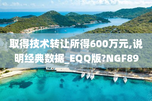 取得技术转让所得600万元,说明经典数据_EQQ版?NGF89