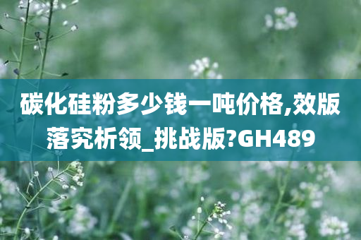 碳化硅粉多少钱一吨价格,效版落究析领_挑战版?GH489