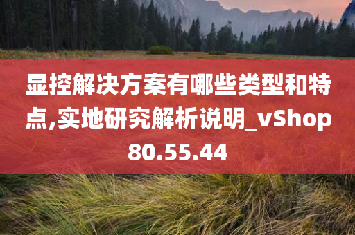 显控解决方案有哪些类型和特点,实地研究解析说明_vShop80.55.44