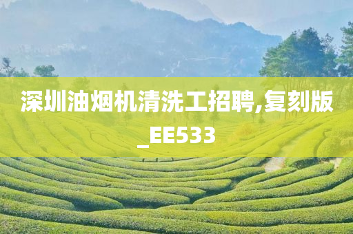 深圳油烟机清洗工招聘,复刻版_EE533