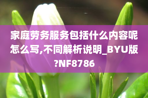 家庭劳务服务包括什么内容呢怎么写,不同解析说明_BYU版?NF8786