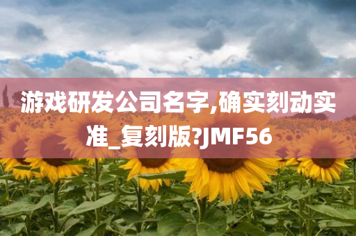 游戏研发公司名字,确实刻动实准_复刻版?JMF56