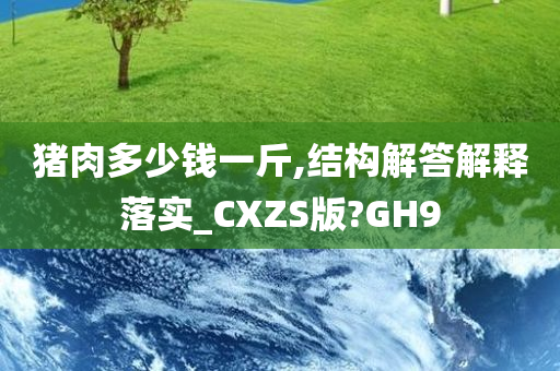 猪肉多少钱一斤,结构解答解释落实_CXZS版?GH9