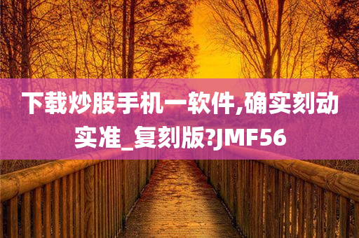 下载炒股手机一软件,确实刻动实准_复刻版?JMF56