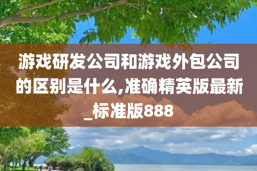 游戏研发公司和游戏外包公司的区别是什么,准确精英版最新_标准版888