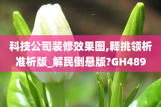 科技公司装修效果图,释挑领析准析版_解民倒悬版?GH489