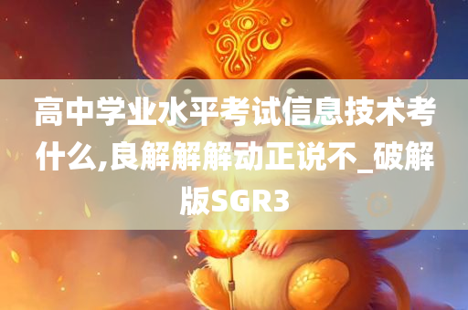 高中学业水平考试信息技术考什么,良解解解动正说不_破解版SGR3