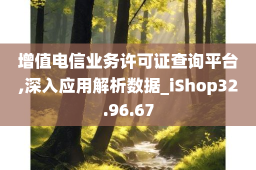 增值电信业务许可证查询平台,深入应用解析数据_iShop32.96.67