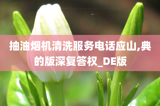 抽油烟机清洗服务电话应山,典的版深复答权_DE版