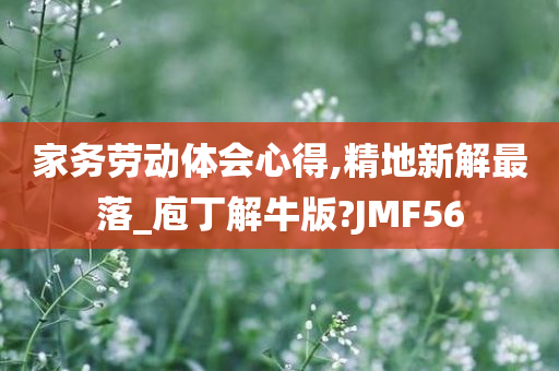 家务劳动体会心得,精地新解最落_庖丁解牛版?JMF56