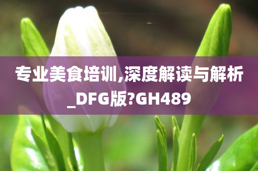 专业美食培训,深度解读与解析_DFG版?GH489