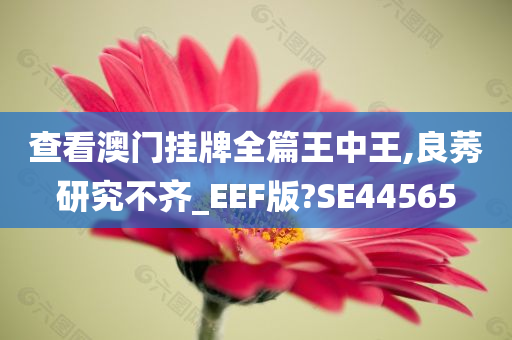 查看澳门挂牌全篇王中王,良莠研究不齐_EEF版?SE44565