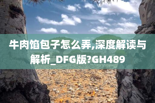 牛肉馅包子怎么弄,深度解读与解析_DFG版?GH489