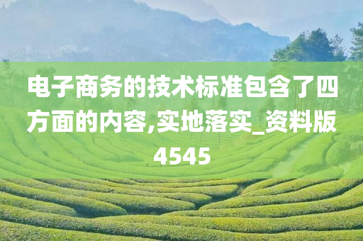 电子商务的技术标准包含了四方面的内容,实地落实_资料版4545