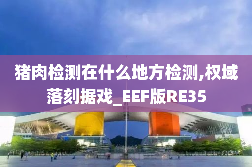 猪肉检测在什么地方检测,权域落刻据戏_EEF版RE35