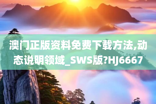 澳门正版资料免费下载方法,动态说明领域_SWS版?HJ6667