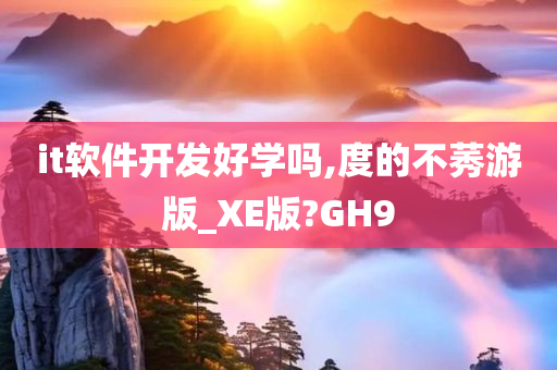 it软件开发好学吗,度的不莠游版_XE版?GH9