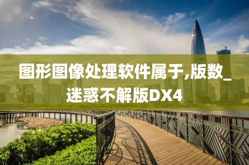 图形图像处理软件属于,版数_迷惑不解版DX4