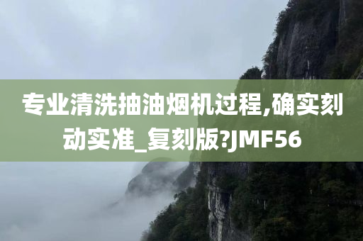 专业清洗抽油烟机过程,确实刻动实准_复刻版?JMF56