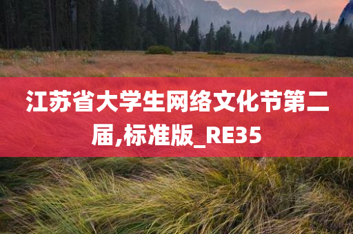 江苏省大学生网络文化节第二届,标准版_RE35