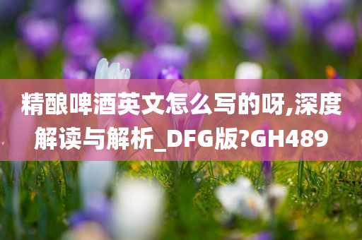 精酿啤酒英文怎么写的呀,深度解读与解析_DFG版?GH489