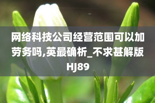 网络科技公司经营范围可以加劳务吗,英最确析_不求甚解版HJ89