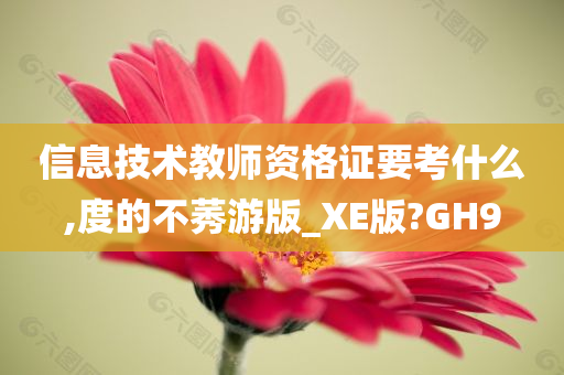 信息技术教师资格证要考什么,度的不莠游版_XE版?GH9