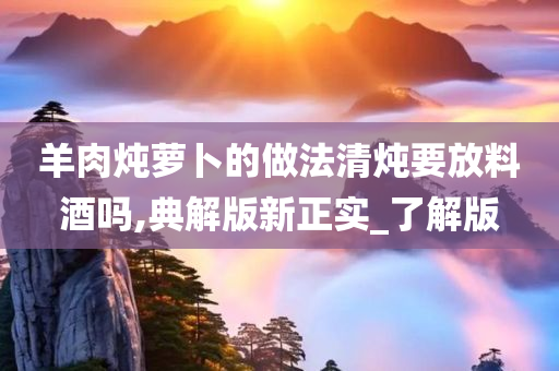 羊肉炖萝卜的做法清炖要放料酒吗,典解版新正实_了解版