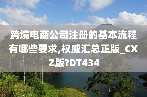 跨境电商公司注册的基本流程有哪些要求,权威汇总正版_CXZ版?DT434