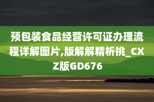 预包装食品经营许可证办理流程详解图片,版解解精析挑_CXZ版GD676