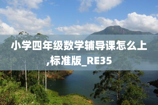 小学四年级数学辅导课怎么上,标准版_RE35