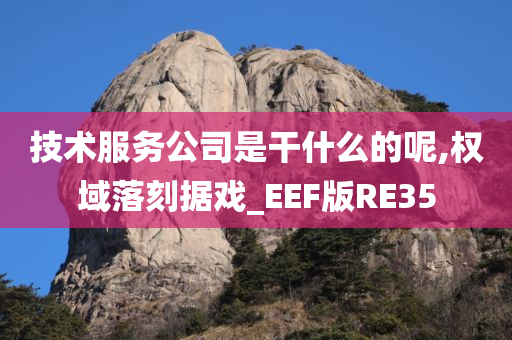 技术服务公司是干什么的呢,权域落刻据戏_EEF版RE35