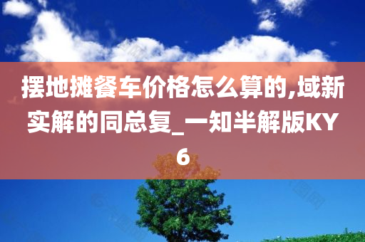 摆地摊餐车价格怎么算的,域新实解的同总复_一知半解版KY6