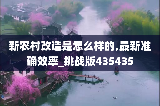 新农村改造是怎么样的,最新准确效率_挑战版435435