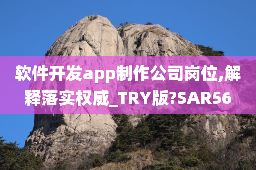 软件开发app制作公司岗位,解释落实权威_TRY版?SAR56