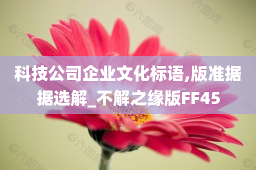 科技公司企业文化标语,版准据据选解_不解之缘版FF45