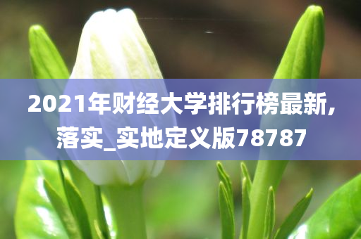 2021年财经大学排行榜最新,落实_实地定义版78787