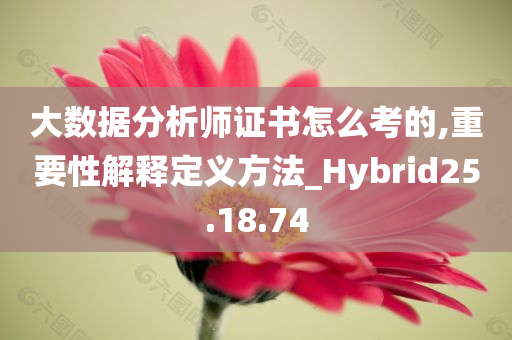 大数据分析师证书怎么考的,重要性解释定义方法_Hybrid25.18.74