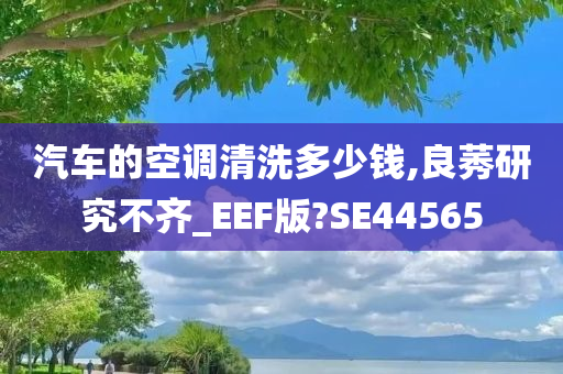 汽车的空调清洗多少钱,良莠研究不齐_EEF版?SE44565