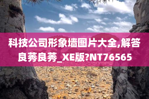 科技公司形象墙图片大全,解答良莠良莠_XE版?NT76565