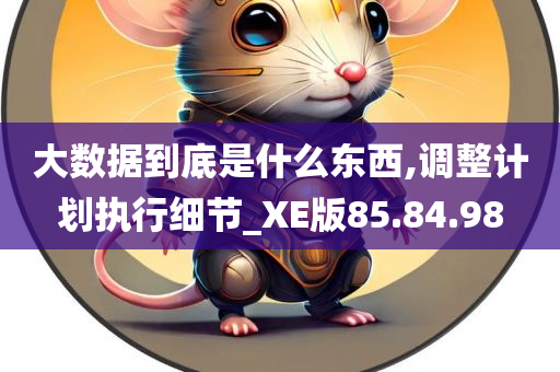 大数据到底是什么东西,调整计划执行细节_XE版85.84.98