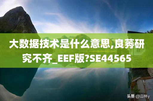 大数据技术是什么意思,良莠研究不齐_EEF版?SE44565