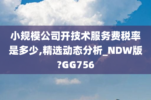 小规模公司开技术服务费税率是多少,精选动态分析_NDW版?GG756