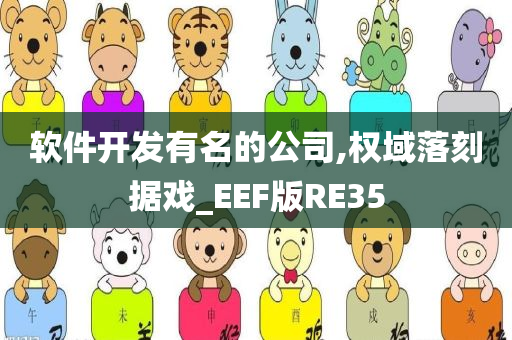 软件开发有名的公司,权域落刻据戏_EEF版RE35