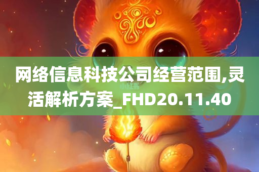 网络信息科技公司经营范围,灵活解析方案_FHD20.11.40