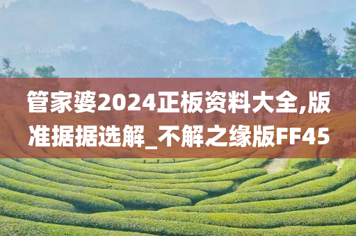 管家婆2024正板资料大全,版准据据选解_不解之缘版FF45