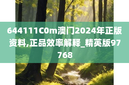 644111C0m澳门2024年正版资料,正品效率解释_精英版97768