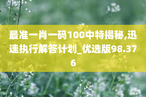 最准一肖一码100中特揭秘,迅速执行解答计划_优选版98.376