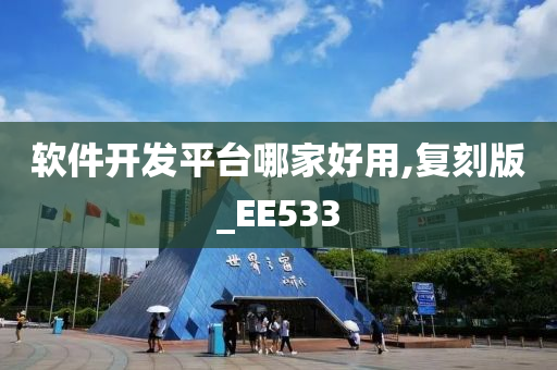 软件开发平台哪家好用,复刻版_EE533