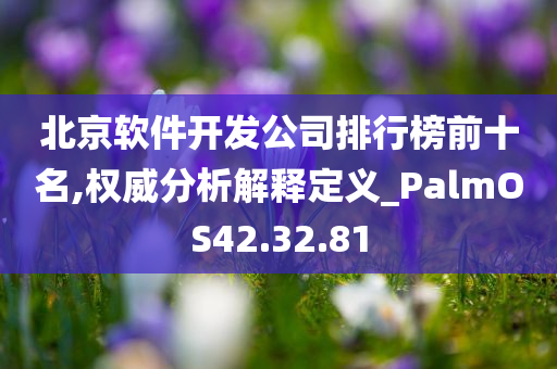 北京软件开发公司排行榜前十名,权威分析解释定义_PalmOS42.32.81